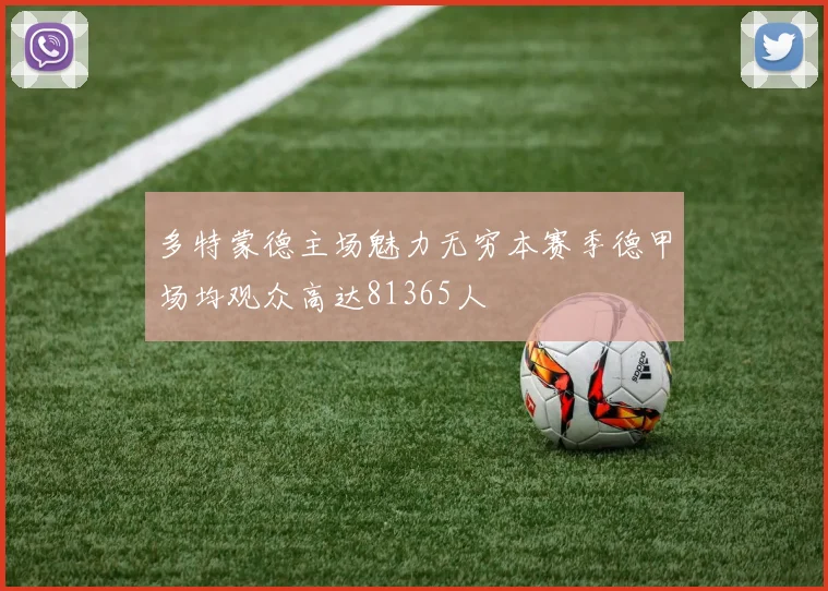 多特蒙德主场魅力无穷本赛季德甲场均观众高达81365人